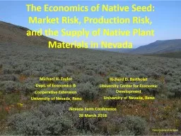 The Economics of Native