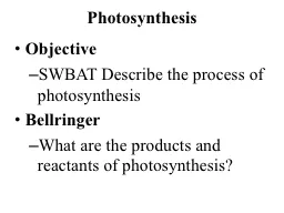 Photosynthesis Objective