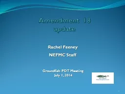 Amendment 18 update 1 Rachel Feeney