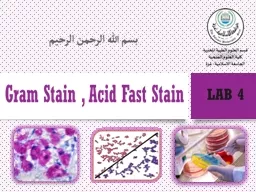 Gram Stain Differential stain (Hans Christian Gram, a Danish doctor ). He developed a