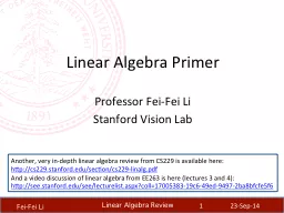 Linear Algebra Primer Professor