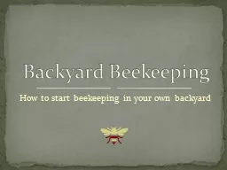 How to start beekeeping in your own backyard Backyard Beekeeping