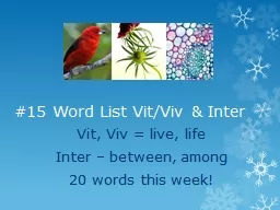 #15 Word List  Vit /Viv & Inter Vit ,  Viv  = live, life