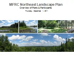 MFRC Northeast Landscape Plan Overview of Plans & Participants