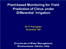 Plant-based Monitoring for Yield Prediction of Citrus under
