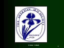   American Iris Society
