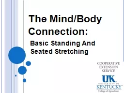 The  Mind/Body  Connection :  Basic Standing And Seated Stretching