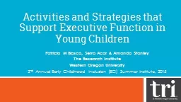 Activities and Strategies that Support Executive Function in Young Children
