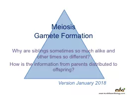 Meiosis Gamete Formation Why are siblings sometimes so much alike and other times so different?