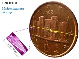 Circa 200 µm 16 mm 1 ERIOFIDI Miniaturizzazione del corpo.
