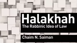 Halakhah:  The Rabbinic Idea of Law Chaim  Saiman Professor of Law, Villanova University