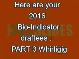 Here are your  2016  Bio-Indicator draftees :   PART 3 Whirligig