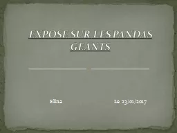 Elina                                 Le 23/01/2017 EXPOSE SUR LES PANDAS GEANTS