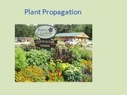 Plant  Propagation  Plant Propagation The process of increasing the numbers of a species,