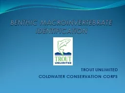 BENTHIC MACROINVERTEBRATE IDENTIFICATION TROUT UNLIMITED COLDWATER CONSERVATION CORPS