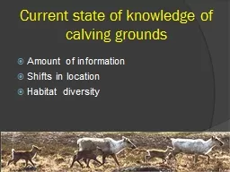 Current state of knowledge of  calving grounds  Amount of information
