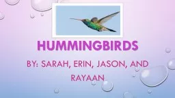 hummingbirds by: Sarah, Erin, Jason, And Rayaan diet They eat insects like , beetles ,