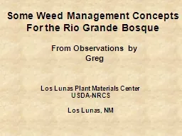 Some Weed Management Concepts For the Rio Grande Bosque  Los Lunas Plant Materials Center