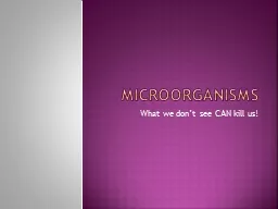 MicroorganismS What we don’t see CAN kill us! Microorganisms