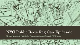 NYC Public Recycling Can Epidemic Monet Ametefe, Danielle Casagrande and Marvin Williams