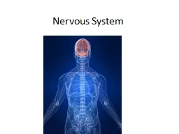 Nervous System Nervous System Design 	2  main section C entral
