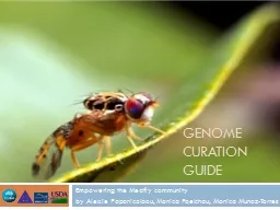 Genome curation guide Empowering the  Medfly  community by Alexie Papanicolaou, Monica