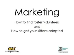Marketing How to find foster volunteers
