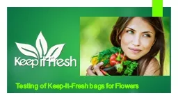 Testing of Keep-It-Fresh bags for Flowers