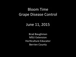 Bloom Time  Grape Disease