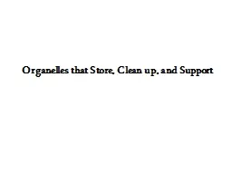Organelles that Store, Clean up, and Support