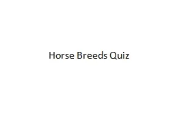 Horse Breeds Quiz