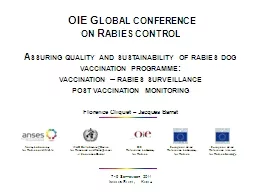 OIE Global conference
