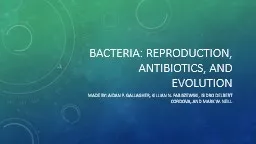 Bacteria: Reproduction, Antibiotics, and Evolution