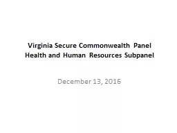 Virginia Secure Commonwealth Panel