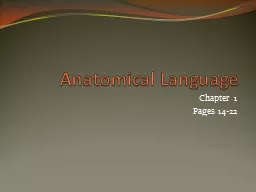 Anatomical Language