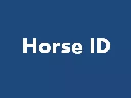 Horse ID Thoroughbred