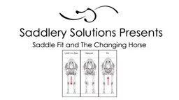 Saddlery Solutions Presents