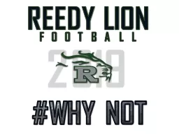 2019 #WHY NOT REEDY LION