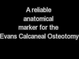 A reliable anatomical marker for the Evans Calcaneal Osteotomy