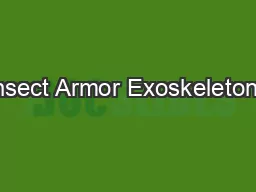 Insect Armor Exoskeletons