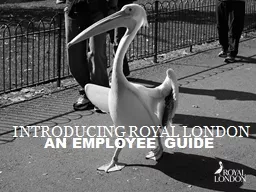 Introducing Royal london