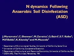 N dynamics Following Anaerobic Soil Disinfestation (ASD)