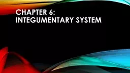 Chapter 6:  Integumentary System