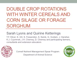 Double crop rotations with winter cereals and corn silage or forage sorghum