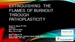 Extinguishing the Flames of Burnout through Pathoplasticity