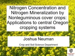 Nitrogen Concentration and Nitrogen Mineralization by Nonleguminous cover crops: Applications