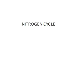 NITROGEN CYCLE Where is