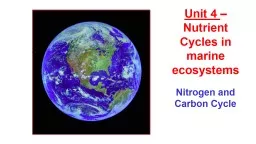 Nitrogen and Carbon Cycle