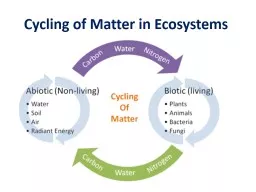 Cycling of Matter in Ecosystems