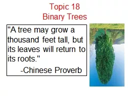 Topic 18 Binary Trees